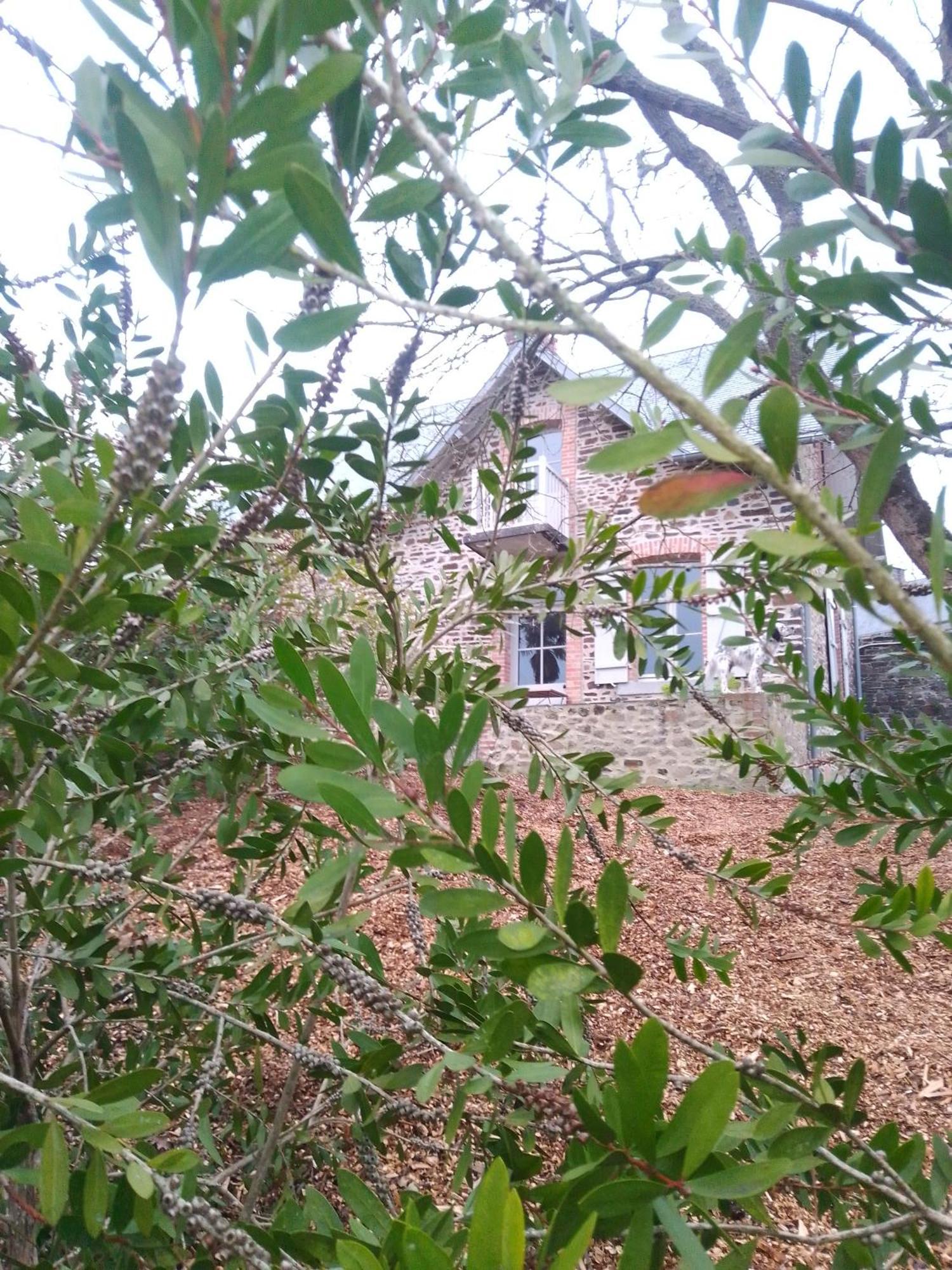 Domaine Le Gaudin - Saint Jean Le Thomas Villa Стая снимка